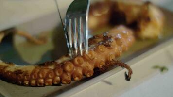 aan het eten zee voedsel schotel met Octopus video