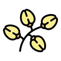 Buckwheat plant icon vector flat