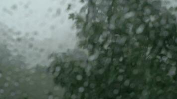 verano tormenta de lluvia afuera, ver mediante el ventana video