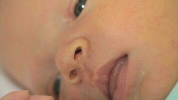 Face of newborn baby video