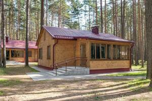 wooden eco country houses in forest photo
