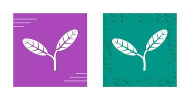 Leaves Vector Icon