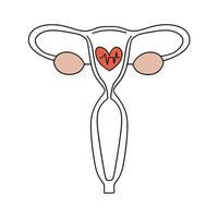 Healthy female reproductive system. The uterus during fertilization, ovulation. Vector illustration in outline style.
