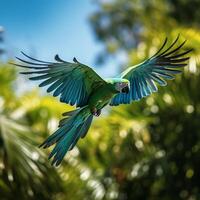 denso, verde esmeralda selva escena con un vibrante loro volador en medio de el follaje ai generativo foto