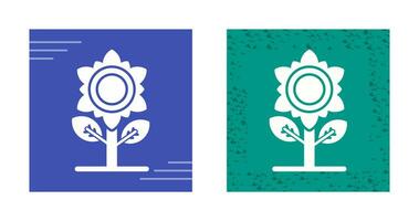 Sunflower Vector Icon