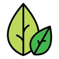 Botanical oregano icon vector flat