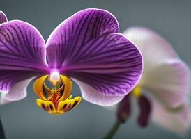 View of colorful beauty of flower plants by ai generated photo