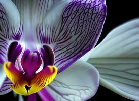 View of colorful beauty of flower plants by ai generated photo