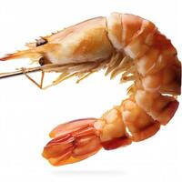 roasted peeled prawn with skewer isolated on white background. AI Generative photo