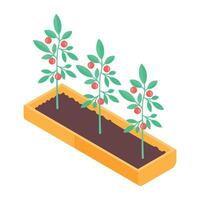 Aeroponic bed icon in isometric style vector