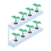 Check out plant hydroponics isometric icon vector