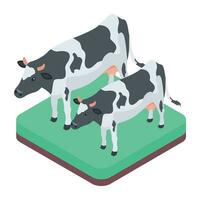 hermosa isométrica icono de granja vacas vector