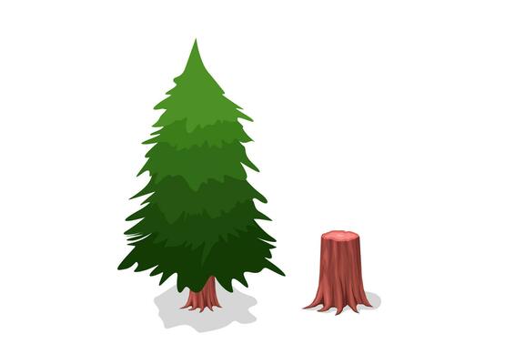 isometric pine tree isolated