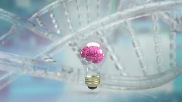 The brain in light bulb for creative or sci concept 3d rendering photo