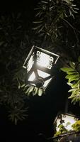 clásico linterna luces en el jardín a noche. foto