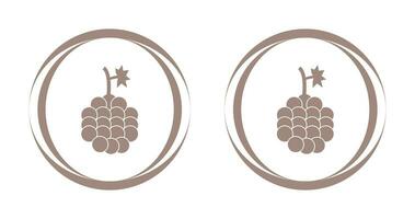 Grapes Vector Icon