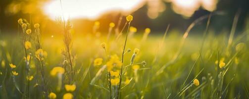 Tranquil spring summer nature closeup and blurred forest background. Generative AI photo