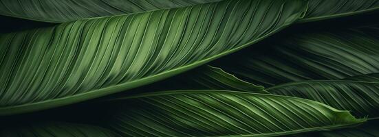 Abstract green leaf texture with nature background, tropical leaf. Generative AI photo