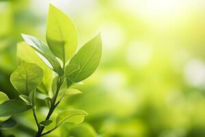 Nature of green leaf in a garden in summer under sunlight. Spring background. AI Generated photo