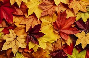 Background of autumn leaves. Autumn background. Generative AI photo