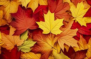 Background of autumn leaves. Autumn background. Generative AI photo