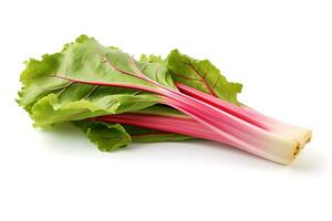 rhubarb vegetable isolated on white background AI Generated photo