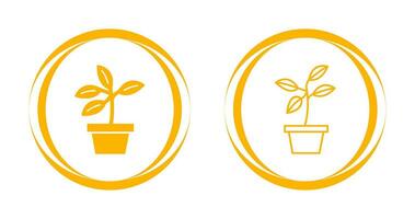 Plant Vector Icon