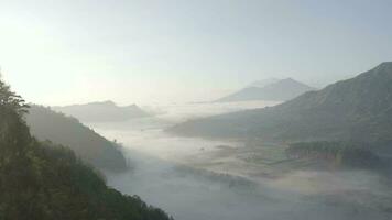aéreo zangão tiro do indonésio montanhas dentro a manhã vôo sobre floresta primeiro plano video