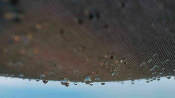Regentropfen fallen von Textil- Schuppen draussen video