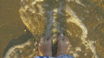 descalzo veraneante caminando en superficial mar agua video