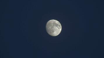 el Luna en oscuro noche cielo video