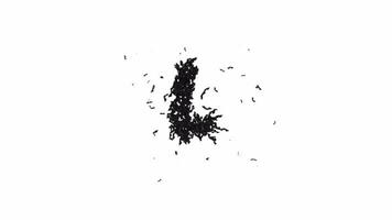 geanimeerd halloween lettertype gevormd van vliegend vleermuizen de karakter l met alpha video