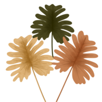 ilustración de hojas de otoño png