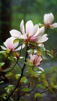 salvaje magnolia después lluvia en el bosque ai generado imagen foto