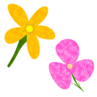 two flowers are shown on a transparent background png