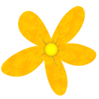 deux fleurs sont montré sur une transparent Contexte png