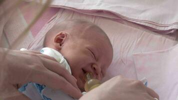 madre dando botella con agua a soñoliento recién nacido bebé video