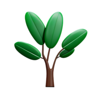 eucalyptus leaves 3d rendering icon illustration png