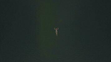 aéreo Visão do mulher natação dentro a mar video