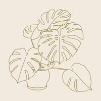 monstera casa planta línea Arte ilustración. escandinavo acogedor hogar decoración silueta símbolo. plano vector dibujos animados icono ilustración de casa planta aislado.