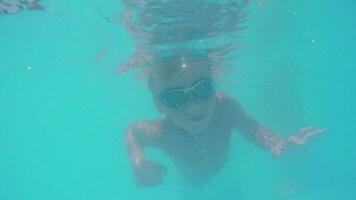 niño buceo en azul agua de nadando piscina video