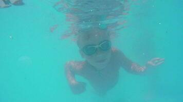 criança mergulho dentro a natação piscina video