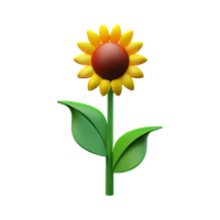 zon bloem 3d renderen icoon illustratie png