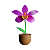 orchid 3d rendering icon illustration png