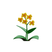 orchid 3d rendering icon illustration png