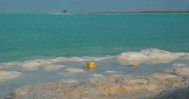 Beauty of nature with Dead Sea waterscape and salt beach video