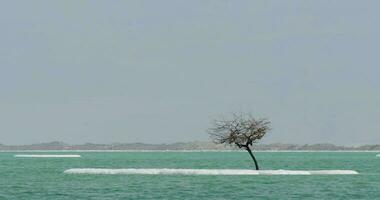 dood zee waterscape met zout eilandjes video