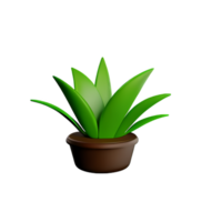 botanisch 3d Rendern Symbol Illustration png