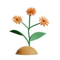 wild bloemen 3d renderen icoon illustratie png