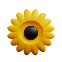 sun flower 3d rendering icon illustration png